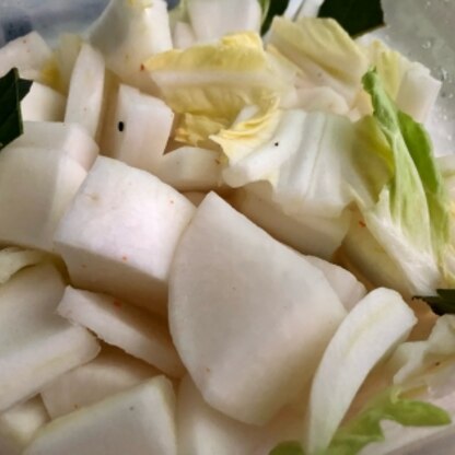 大根、白菜、ローリエで作りました。
簡単なのにとても美味しくいただきました♡♡